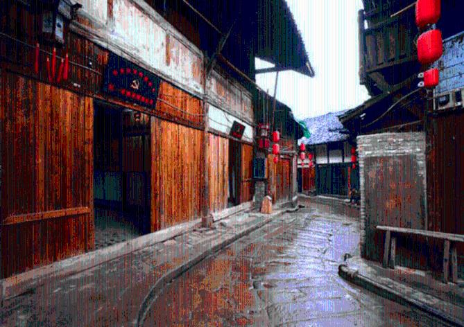 茂密丛林逃生